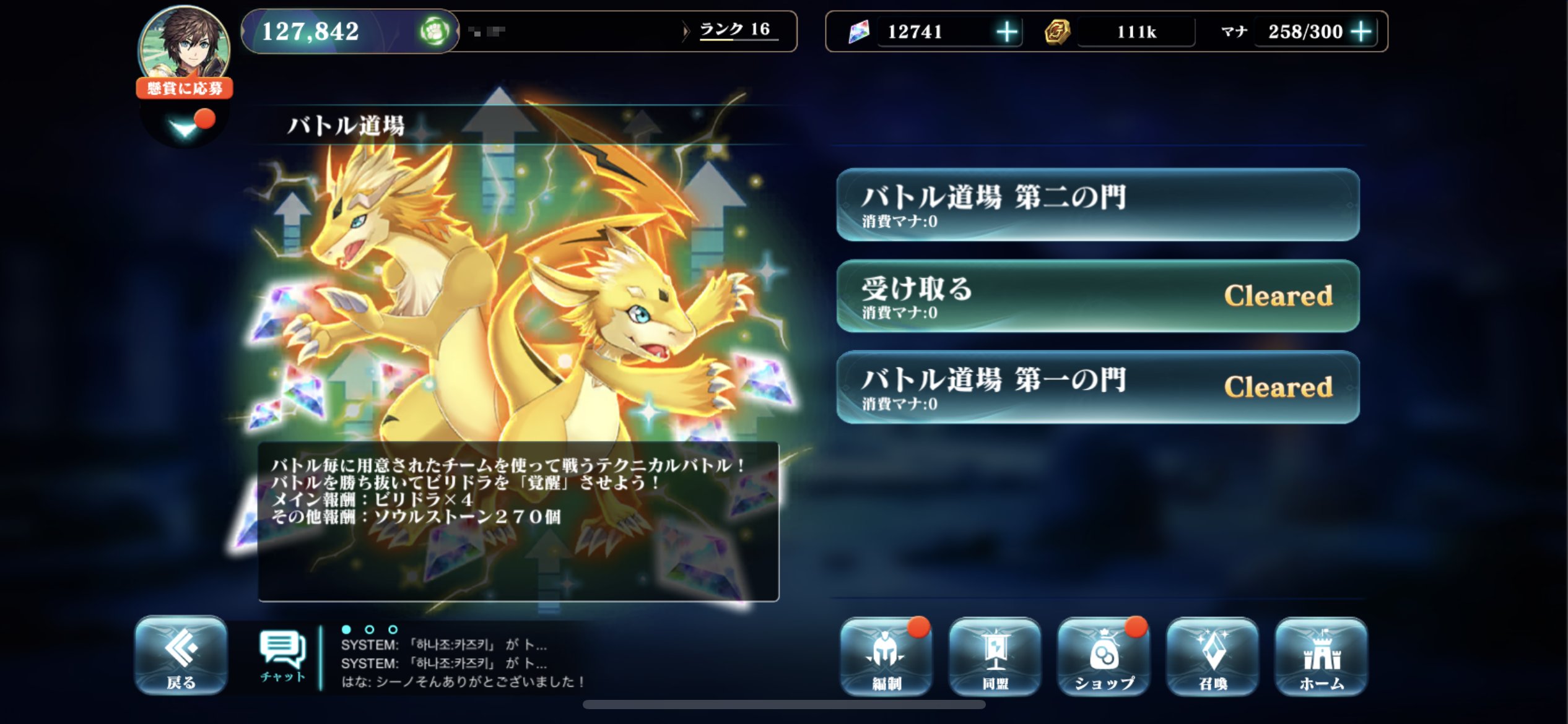 バトル道場でビリドラを鍛える様子