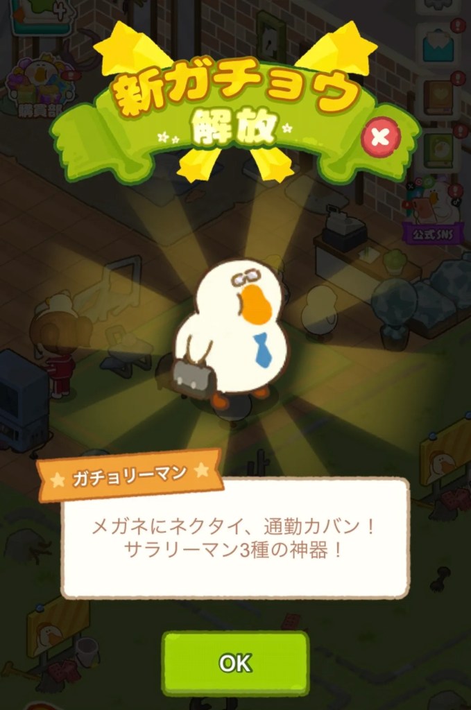ぽちゃガチョ!新しいガチョウが仲間入りする瞬間