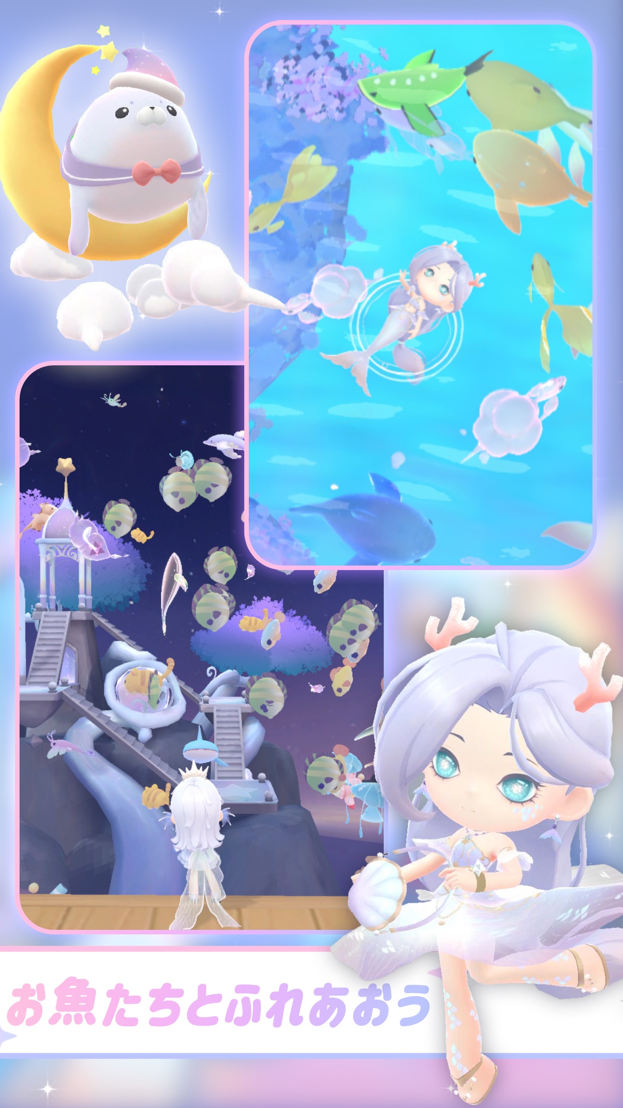お魚たちとふれあえる海中の風景